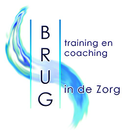 Brug in de Zorg